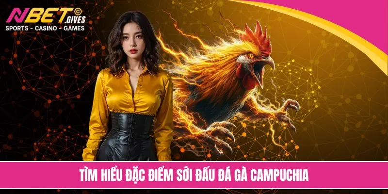 Kèo cược cơ bản trong đá gà Campuchia