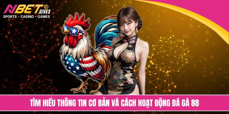 Tìm hiểu thông tin cơ bản và cách hoạt động đá gà 88